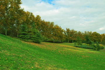 Paisaje en otoño
