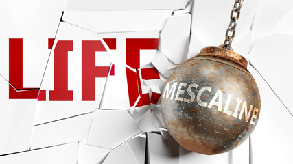 Mescaline and life - pictured as a word Mescaline and a wreck ball to symbolize that Mescaline can have bad effect and can destroy life, 3d illustration - obrazy, fototapety, plakaty