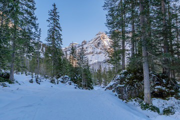 Verschneite Winterlandschaft im Berner Oberland