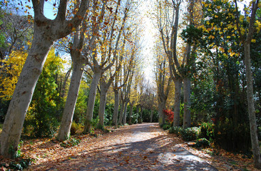 Naturaleza en oto&ntilde;o