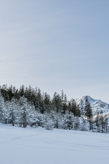 Verschneite Winterlandschaft im Berner Oberland