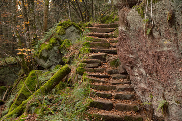 Heidenmauerweg am Mont Saint Odile in den Vogesen