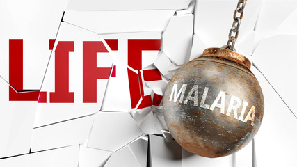 Malaria and life - pictured as a word Malaria and a wreck ball to symbolize that Malaria can have bad effect and can destroy life, 3d illustration
