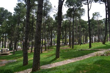 Fototapete bei efototapeten.de bestellen   