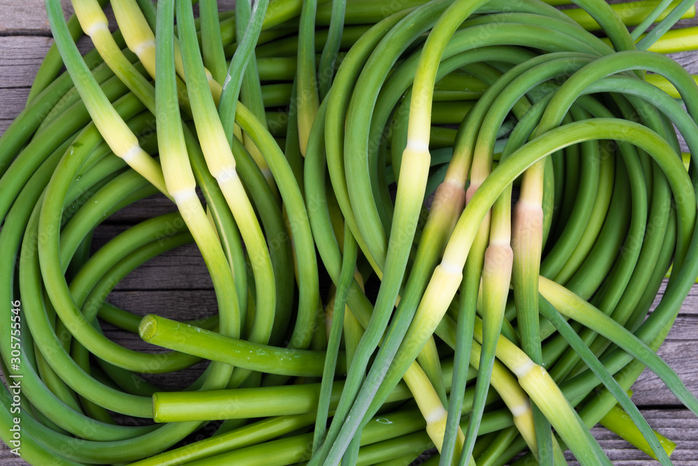 Wall mural green stalks of garlic on wooden table. the twisted stems of plants from seed. preparation of summer