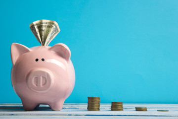 Fototapeta Piggy bank and golden coin. Savings and finance concept obraz