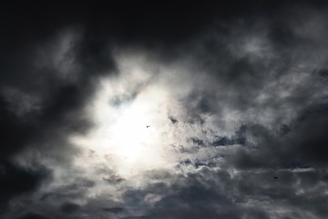 Obraz premium birds flying towards a sky full of clouds