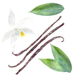 Watercolor vanilla set