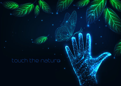 Futuristic People Nature Connection Concept With Night Landscape With Leaves, Butterfly, Human Hand