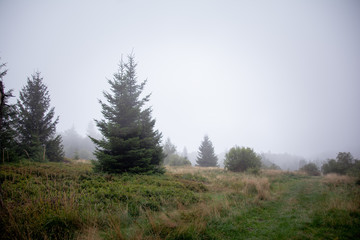 Misty autumn in the mountains