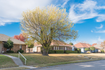 Dallas suburbs bungalow style houses with elevated walkway and handrails in fall season