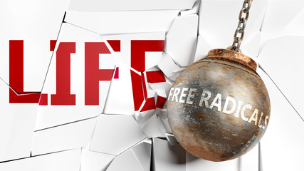 Free radicals and life - pictured as a word Free radicals and a wreck ball to symbolize that Free radicals can have bad effect and can destroy life, 3d illustration - obrazy, fototapety, plakaty