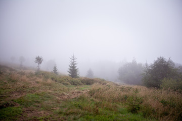 Obraz na płótnie Canvas Misty autumn in the mountains