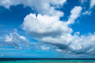 Obraz premium Palm Island / Aruba - 05.03.2013. Palm Beach Private Beach in Aruba