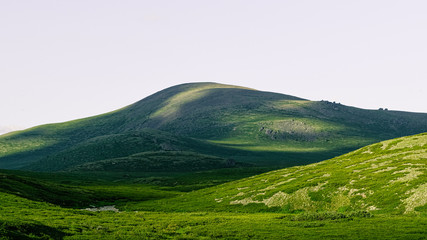 Soft hills with green grass under cloudy sky