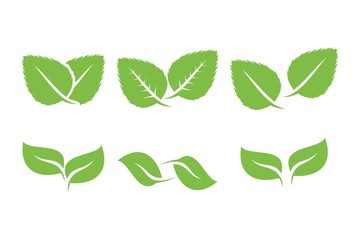 Leaves icon vector set isolated on white background. Various shapes of green leaves of trees and plants. Elements for eco and bio logo