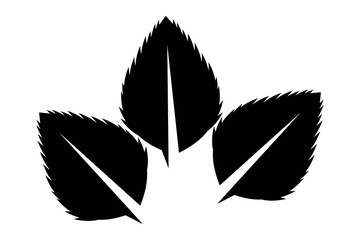 Leaves line icon vector set isolated on white background. Various shapes of black color leaves of trees and plants. Elements for eco and bio logo