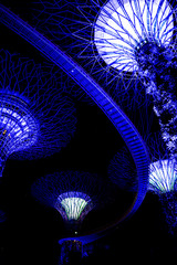 Gardens by the Bay, Singapore