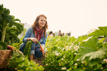 Friendly woman harvesting fresh vegetables from the rooftop gree