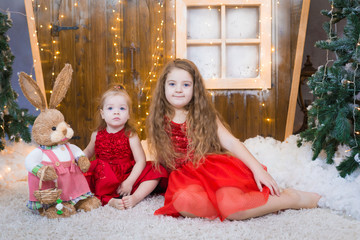  Girl fun, red dress, Christmas  tree