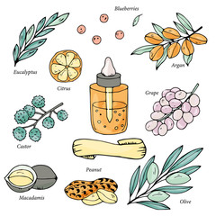 Watercolor style outline natural products collection. Hand drawn vector organic oil set. Natural ingredients for health care, eco oil products.