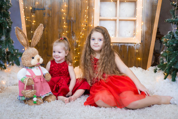  Girl fun, red dress, Christmas  tree