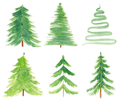 Pine simple watercolor hand drawn illustrations set