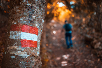 Trekking direction indicators in focus in the foreground. The background of the mountains is blurred. Italy