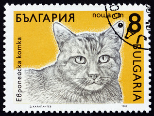 Postage stamp Bulgaria 1989 tabby, domestic cat