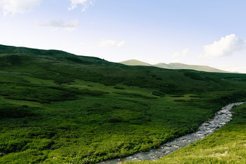 Obraz premium River in green hills. Swift stream in green meadow