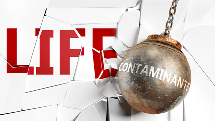 Contaminants and life - pictured as a word Contaminants and a wreck ball to symbolize that Contaminants can have bad effect and can destroy life, 3d illustration