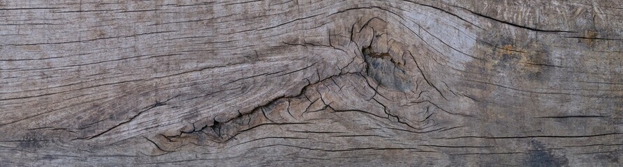Old wood texture background empty for design