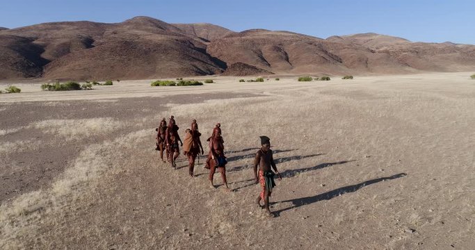 4K aerial zoom out view of five people from the Himba tribe walking in the Namib Desert,Namibia
