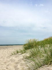 Dünen am Strand, Heiligenhafen, Ostsee 