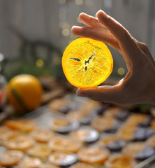 Female hand holds candied fruit in the sun. Close-up. Christmas sweets, candied fruits in chocolate. Caramelized orange slices on a light paper background. Homemade dessert.