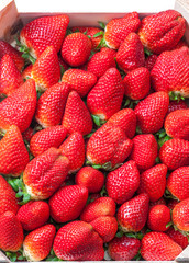 still life of fresh red strawberries