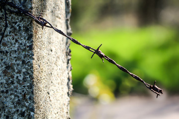 an einem Zaunpfahl ist noch ein Rest vom Stacheldraht befestigt