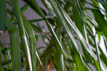Fototapeta premium Herbst in Baden-Württemberg