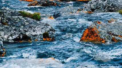 Mountain stream with yellow stones. Rapid flow of river, boiling water
