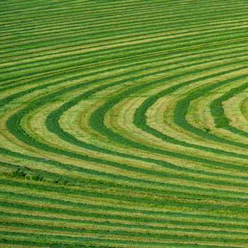 Field cut in curved shape in Picabo, Idaho, USA