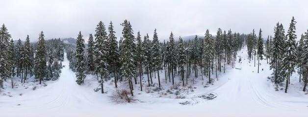 Spherical aerial snow-covered panorama of spruce trees