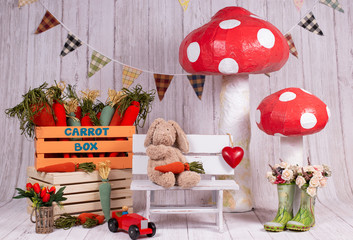 For Easter holidays, colorful backdrops for photo studios, with elements like: eggs, bunnies rabbit, carrots, easter signs, big flowers, giant mushrooms, boxes.