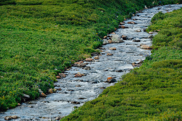 River in green hills. Swift stream in green meadow