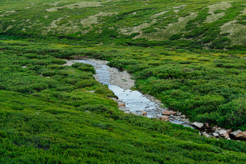 Mountain stream in green valley. Rocks and stones in swirling riverbed. Watering in pasture