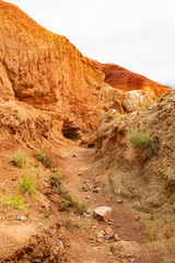 Red canyon in hills. Soil erosion following drought, climate change and formation of gullies. Lack of water in dry steppe