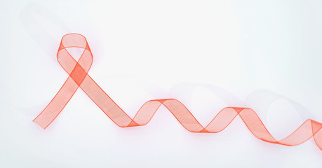 Closeup red ribbon awareness on White background for World Aids day campaign. Healthcare and medicine concept.