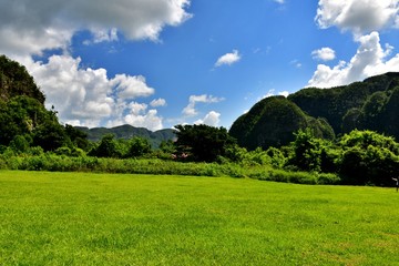 Fototapeta na wymiar Viñales Valley in Pinar del Rio, leafy valley where tobacco and coffee are grown