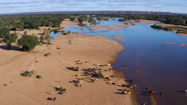 Aerial view of people from the   Shangaan tribe letting their cattle drink at a river in the Mahenye Village, Zimbabwe