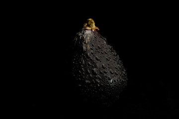  Cold dark violet fig isolated with water drops sliding on black background