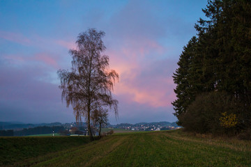 Sonnenaufgang an der Straße